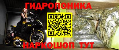 молекула духа Бузулук