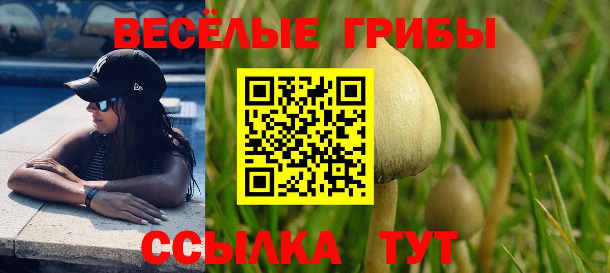 Псилоцибиновые грибы Cubensis  Вход с VPN  Екатеринбург 
